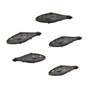 Мальки